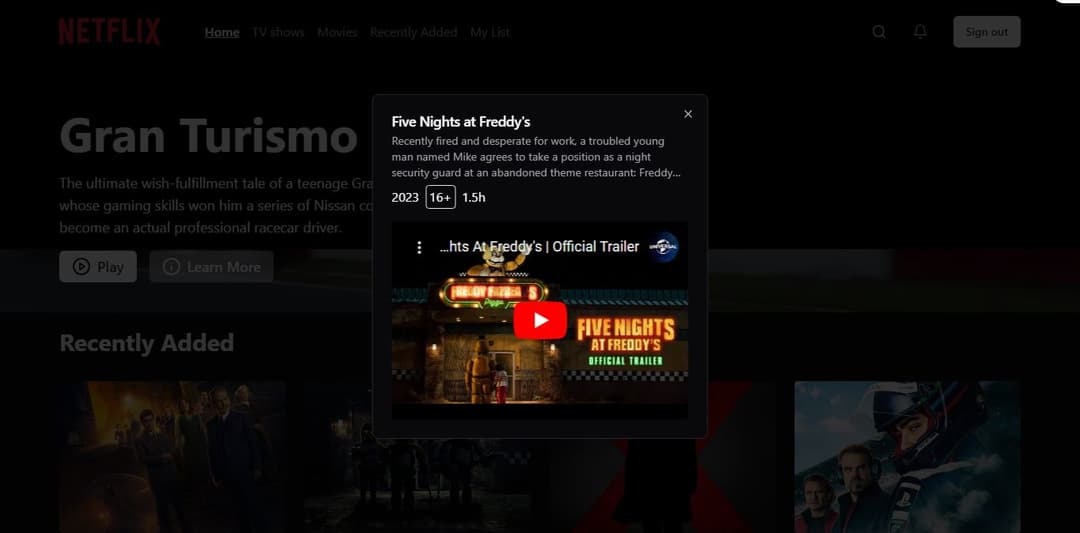 NETFLIX Website